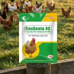 doxgenta